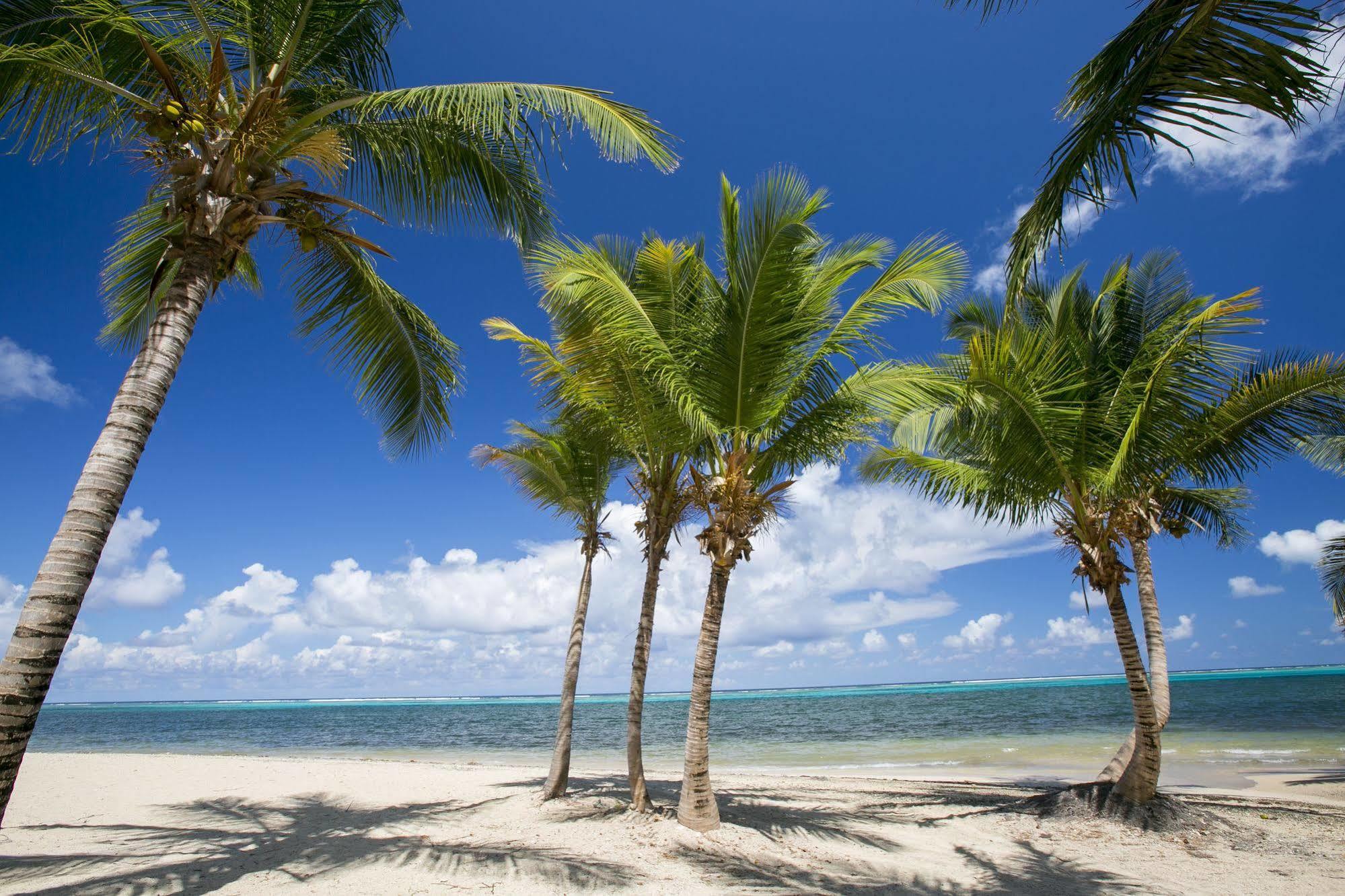 Sugar Beach Condominiums Resort Christiansted Dış mekan fotoğraf